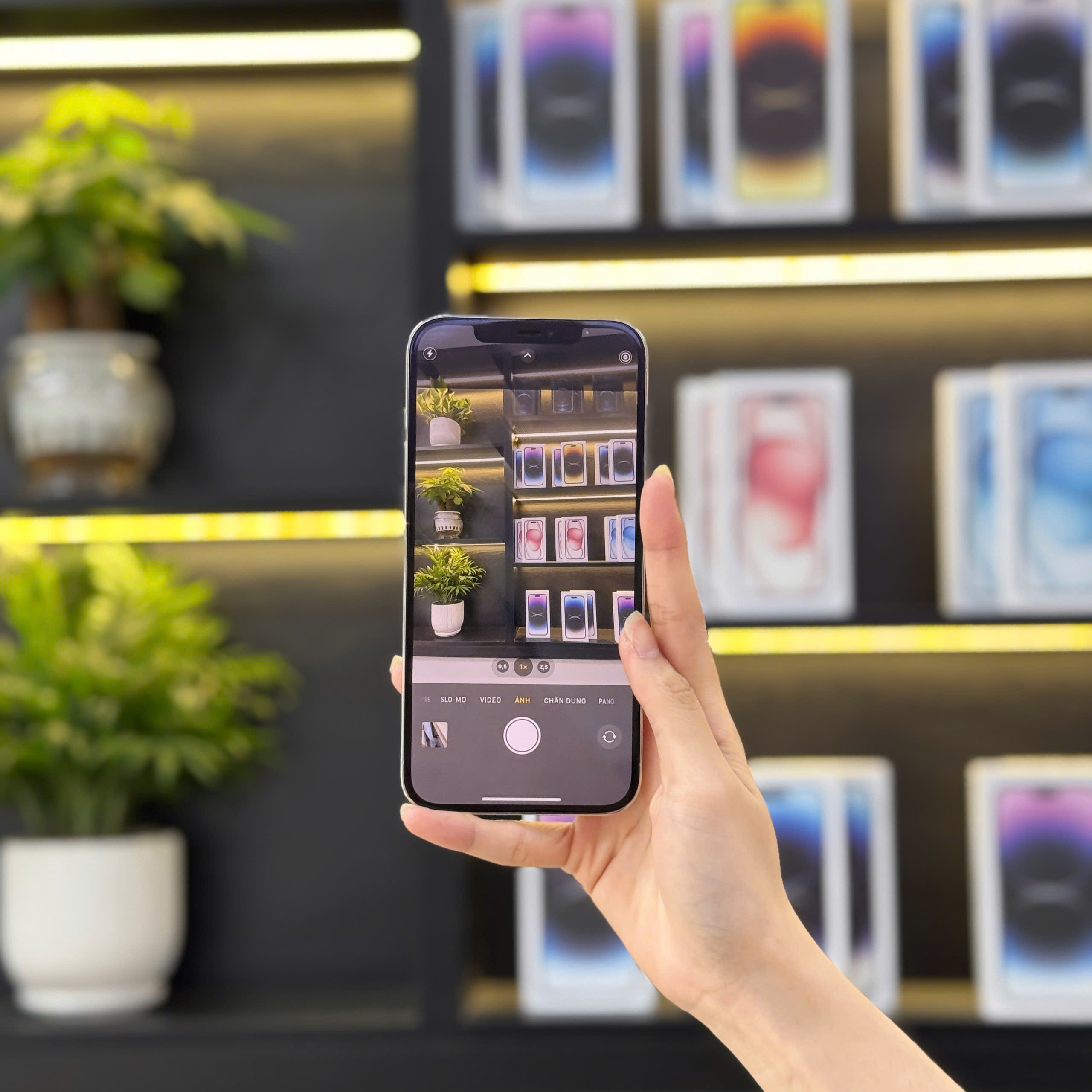 Khách hàng trải nghiệm chụp ảnh iPhone 12 cũ tại cửa hàng Táo 247 Đà Nẵng