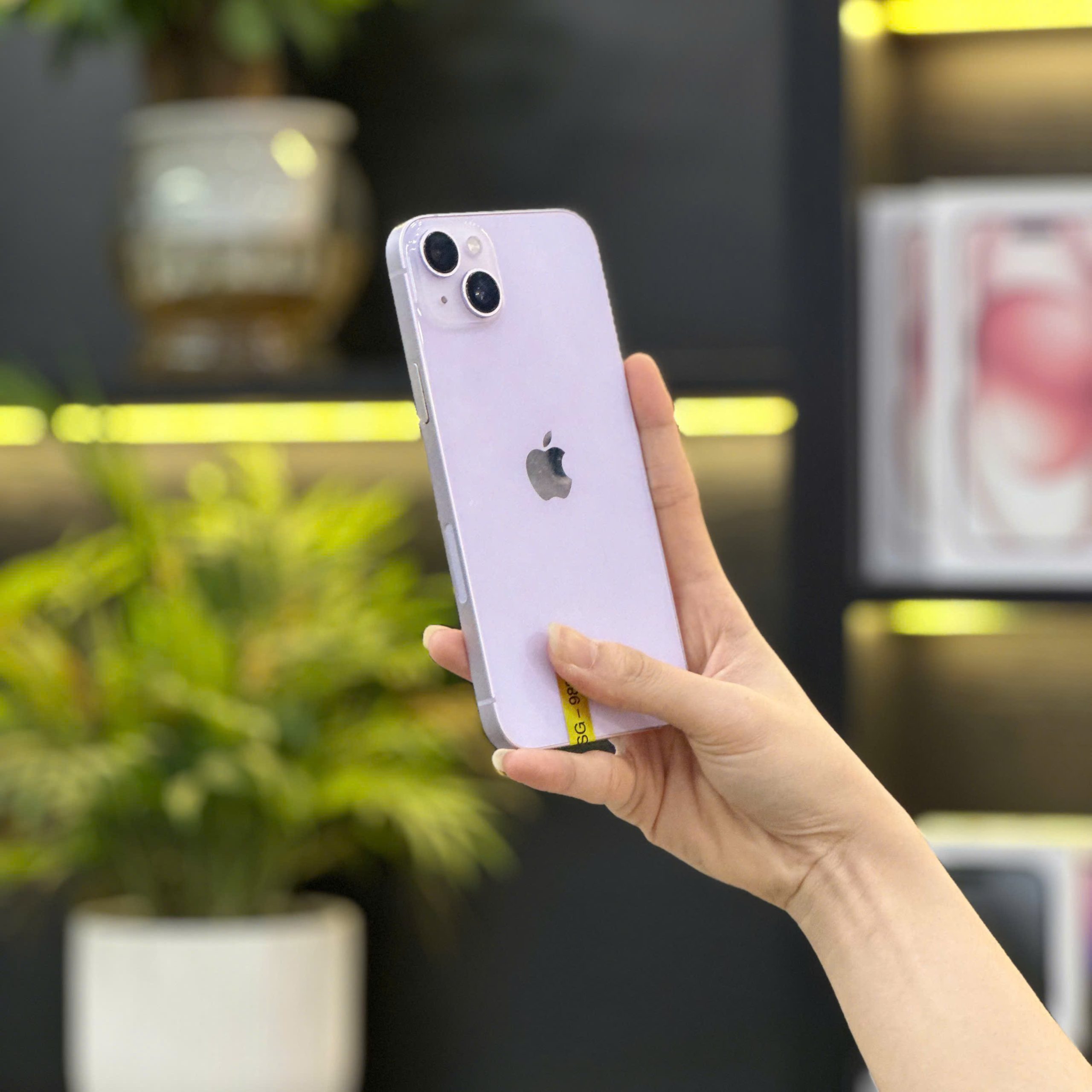 Khách hàng cầm trên tay iPhone 14 Plus màu tím tại cửa hàng Táo 247 Đà Nẵng
