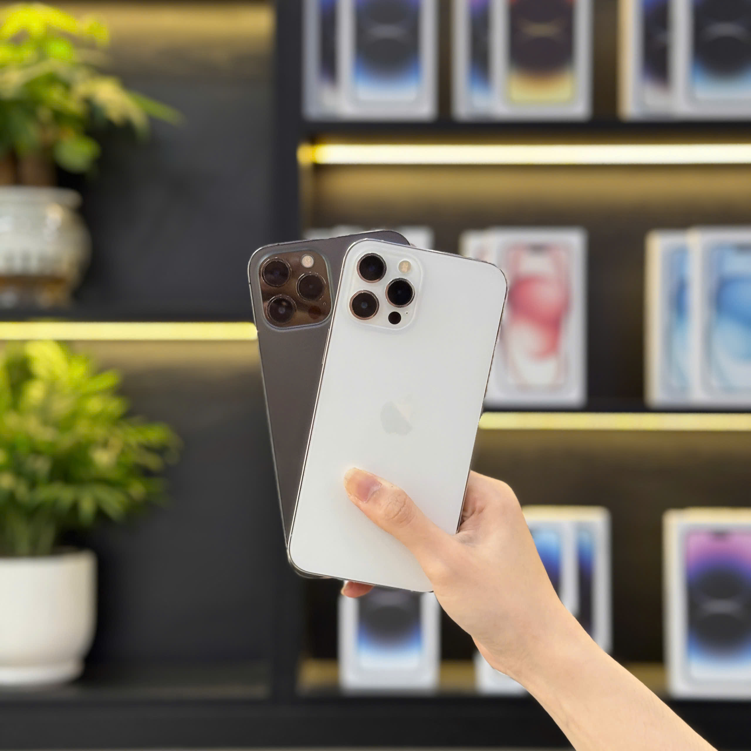 iPhone cũ nguyên zin Đà Nẵng – Hình ảnh thực tế iPhone Pro tại cửa hàng Táo 247
